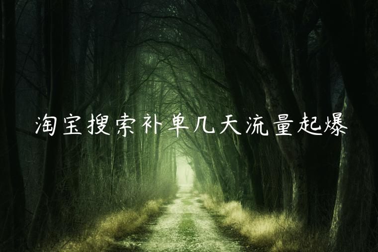 淘寶搜索補(bǔ)單幾天流量起爆